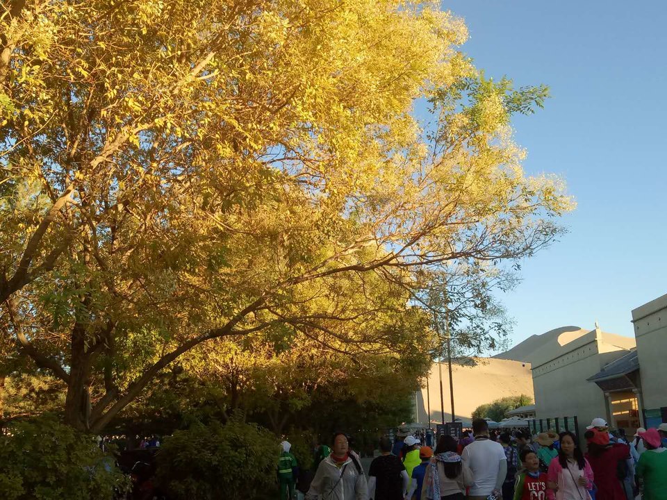 93_Ng-JHuAbjgAWfIT6FNqUpJD9wVvubcMg3ykM4EdxdvtMD-hO95XCI5KldwiGZ