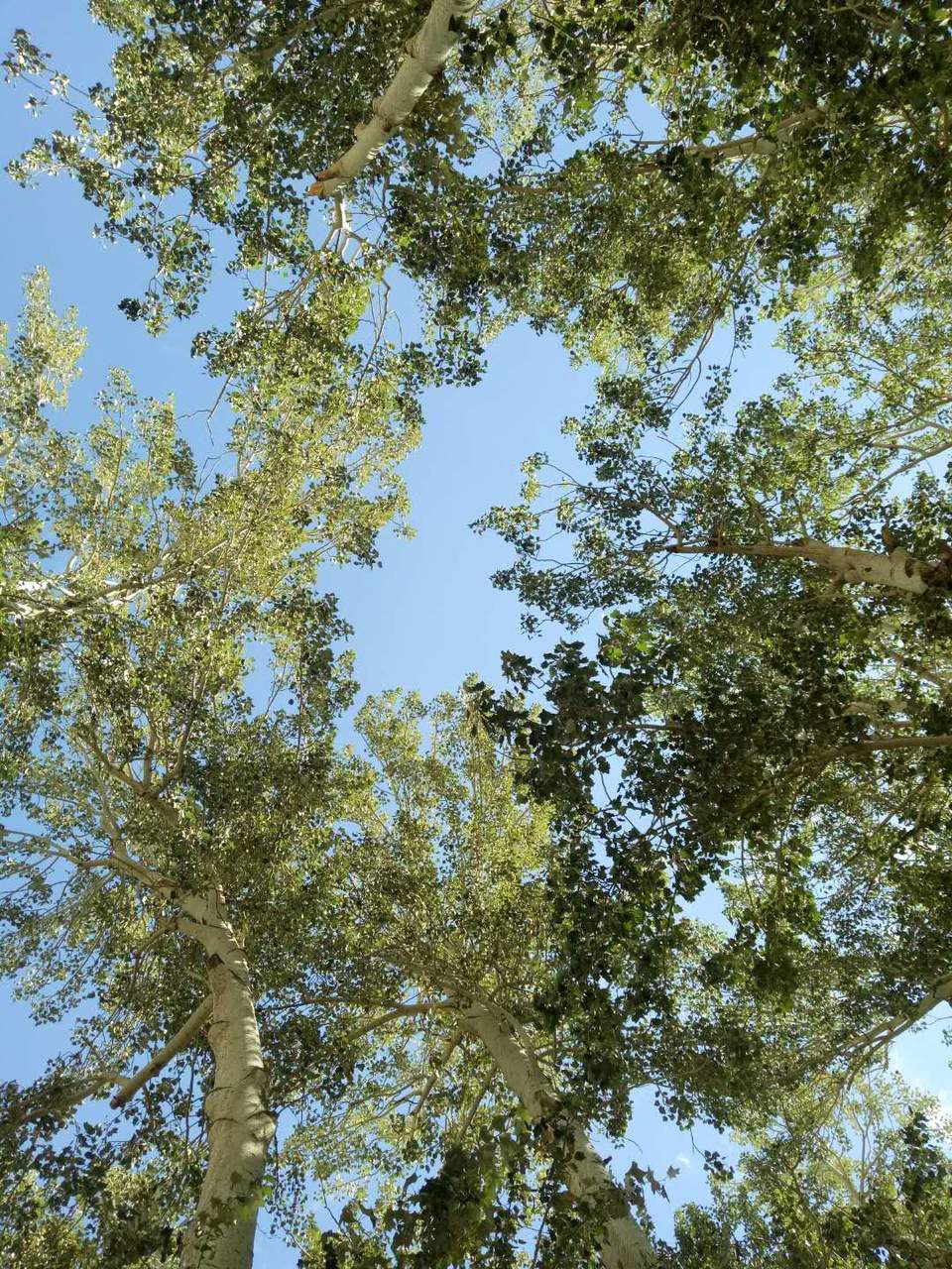 tIdYuUksROAjPMfvWiXfq7iOYwxxixQhwLSv1zBJ4eWXklMNf31Hx4VBV_NT1rve