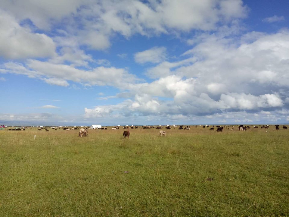 lAyX2M8sO5N1tDX9x3Pgg54xjx3MSnjFpbsTlGJ-XYEMtC8mDv3GrExKo2sKa7th