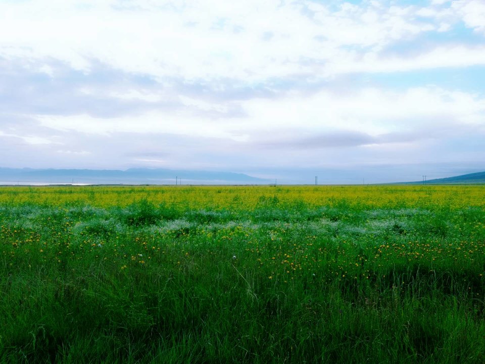 AKRhulEY6jfpLPs32b4s62yxkc5ahn9frs_KKlDcWlt4eXC0dncrpG_-dqfKKLsF