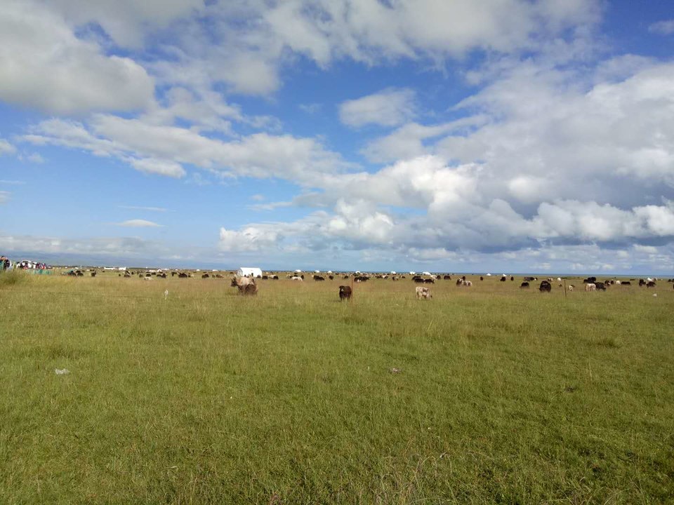 Ssg0qREclHDs-rIWsvWP5nclHg9rZz-KQqKB_lPucRJQWbNjdgJFc5rF5enD3bM1