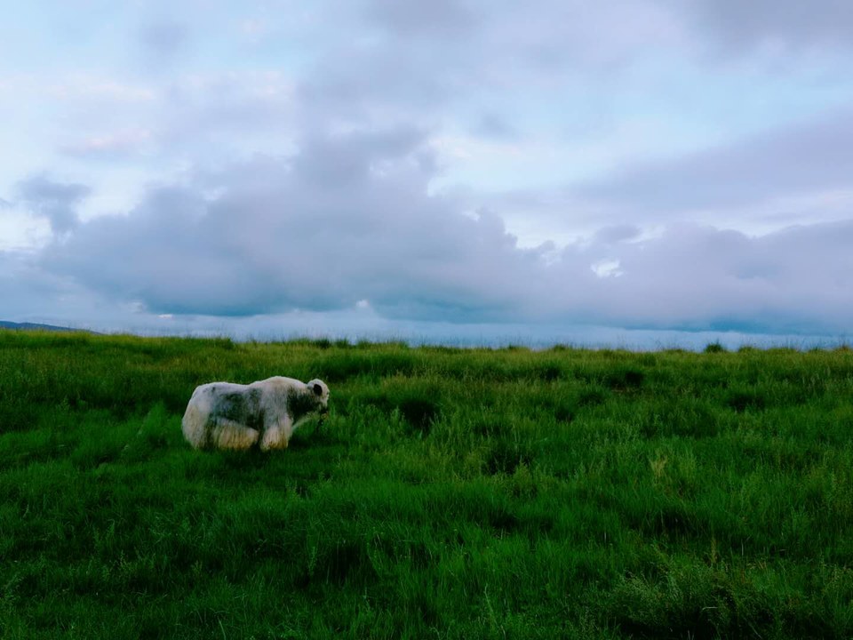 OJDjeMyOnWRrUA08Yu7m-BRsbpnJbIZRPkdoo0EAjN8CN_0J-YMT_BYs_KM8LhDJ