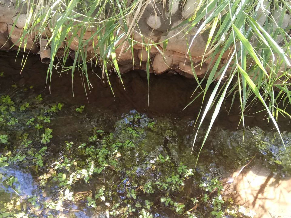 lUshLo2YIydzyol_GqHbbH4swQDQIw8IZIhBr4npoYYtG1CViRZQHedNk_ukoLgn