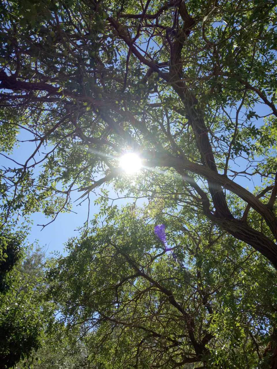 vP2B0GKhSSn_axHEinATUktaRPTbAjXwghqzjwstcahD9OmIxcYt9Owfn_o2KSKt