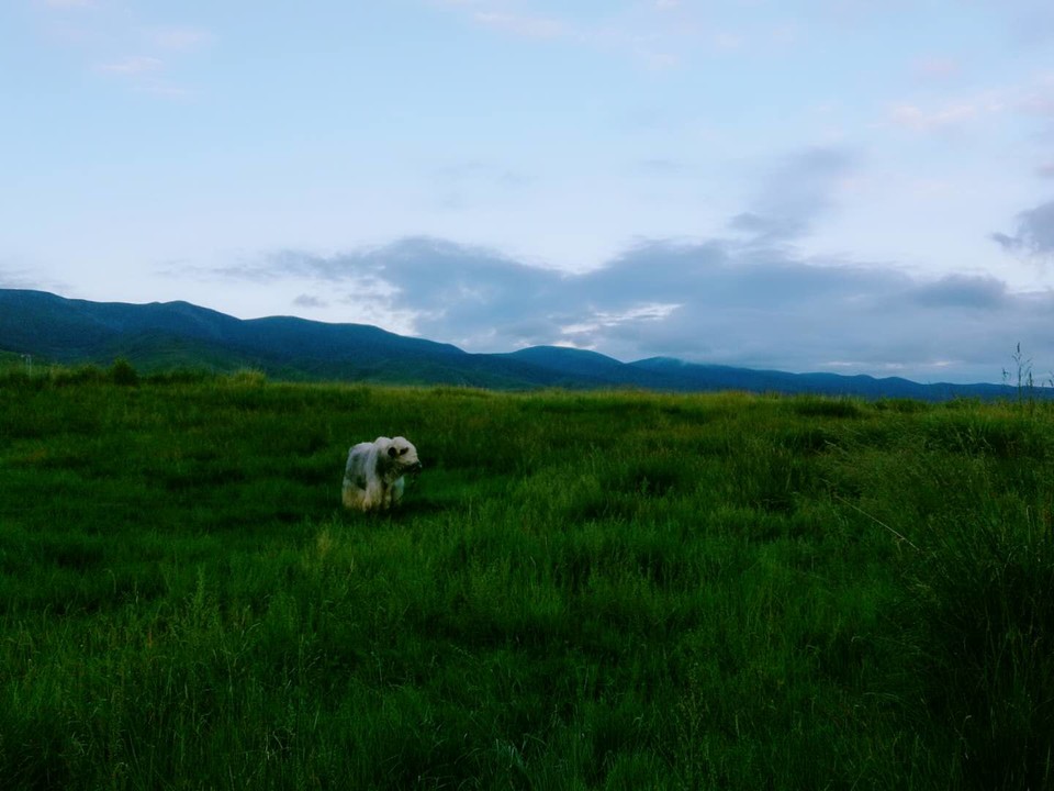 GAz6ZwiiKWRuwhc4JU7X9w5rybDliLHaBmHNfdRMpPDejzbqp1uQRoGIfFnG8GeV