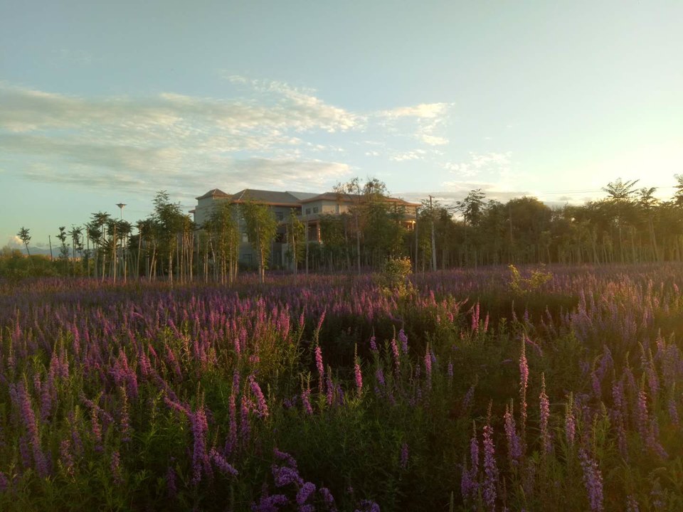 bN3ckcD7Z8SliCZI91WSRTlpUvnUQMrulg1a5PH9ivESKTqVgdw7YGWYl-zFP82A