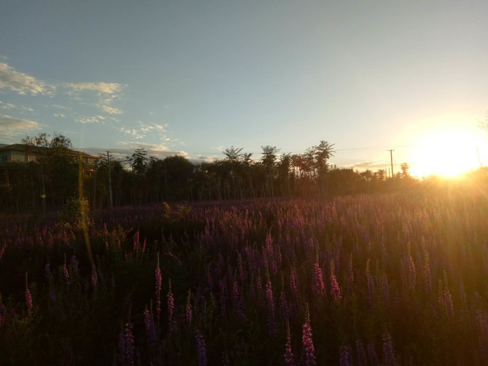 VTsD-ydFiDJEIO9-CpgoZ9CueZx1Np622vRyOyd1F0uu_V1OKKIfVhGrhAUI55yM