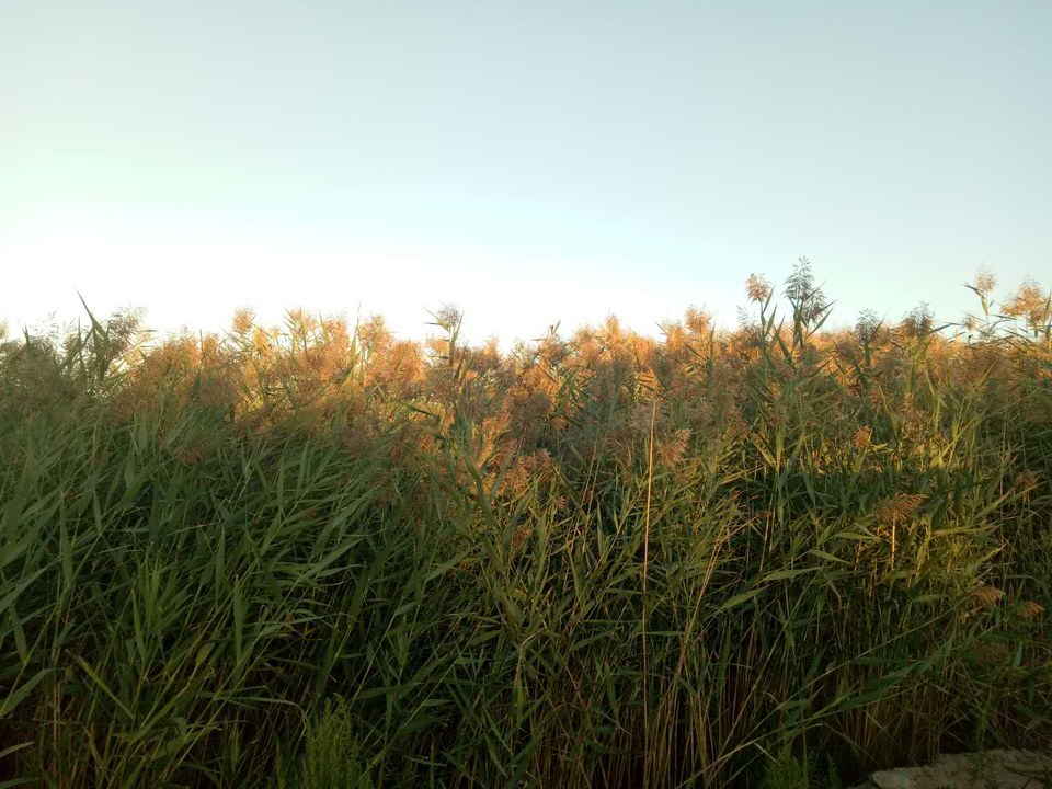 VaM42gxM7Bq7xY6WIEddF_bh5-8x1Bv2UImNhBnFfUG5A6Gk80BOkemPtK7ox8NQ