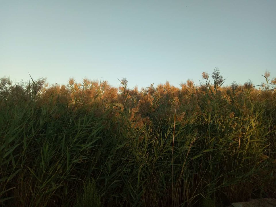 VWOR7mKBI03zi9oJGDVmIdfN3LVw0Kj5SbF9LOzAyELGxcIc49JNw8pWNk2CKJDm