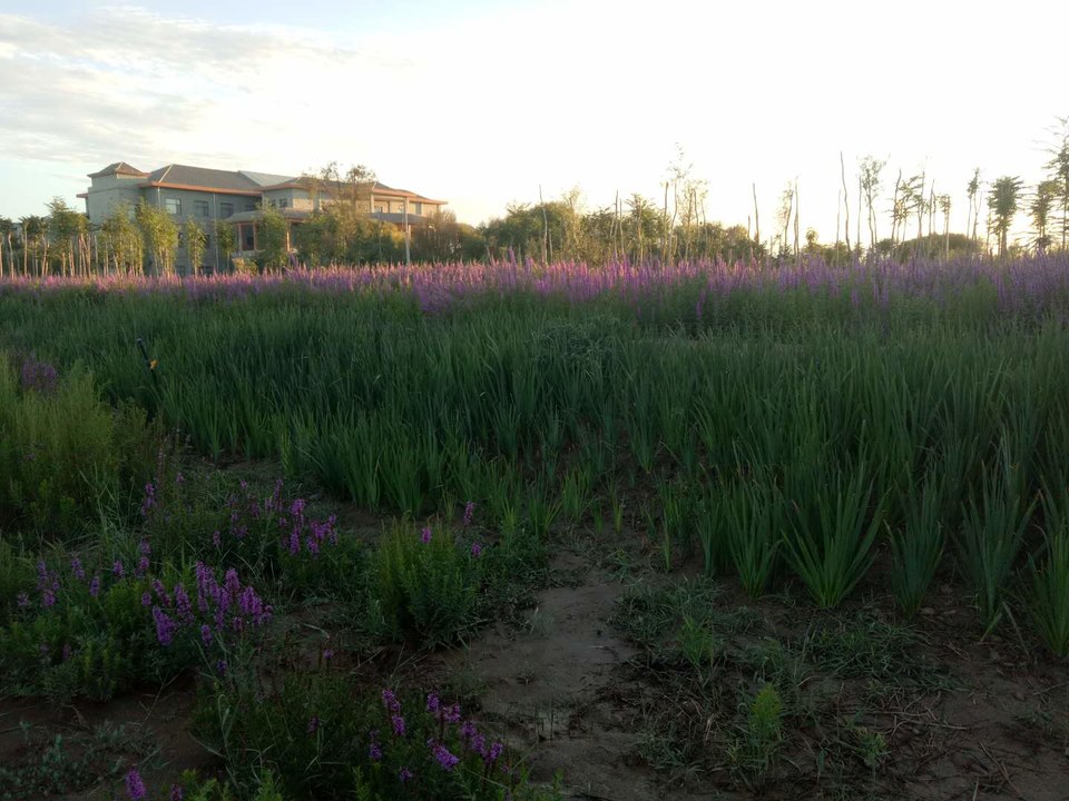 Innw1zEWOQm2svb7aiGnLac2AILj94BHkDfpavaZx2KPcstvR8yDmrD3H3U8nGO5