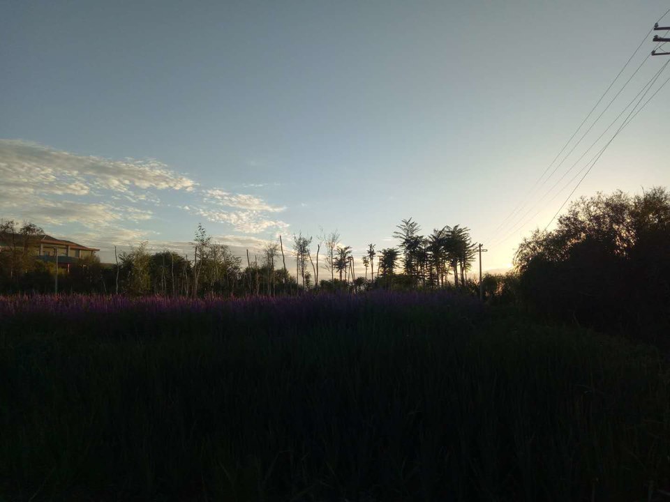 cK-zhUygfQGEruhn5X5xAYav5rIFSk3XqnczeLiRutVN2NRQs9PL1KJK_luau3Yu