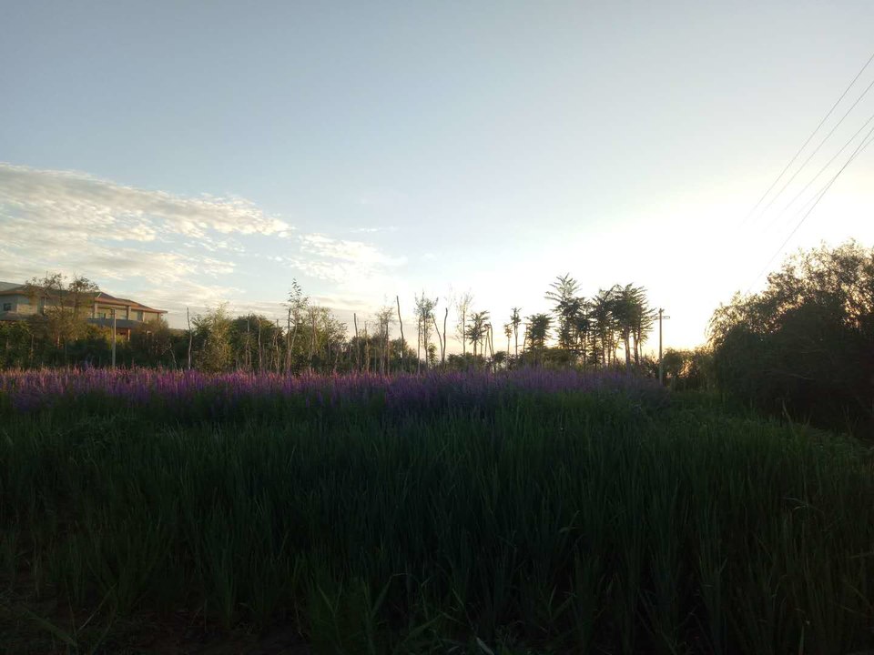 AjSwoXn84Gil_x6Hneb5CiCPskJC2NT4MWXZttZekoLmAgOerReUMZsZF6c1K18t