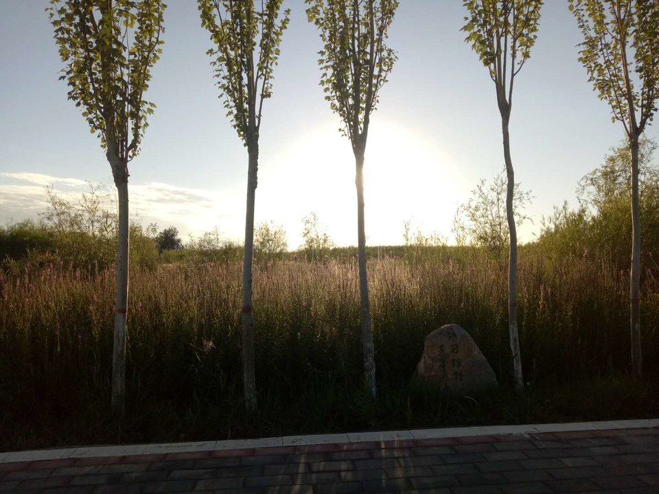 N-mMmf_HgdH33KOftmr5YRyPzRX8zNSjUZfgORLfUIBJhUMACj5_MZJ2e74cPcRw