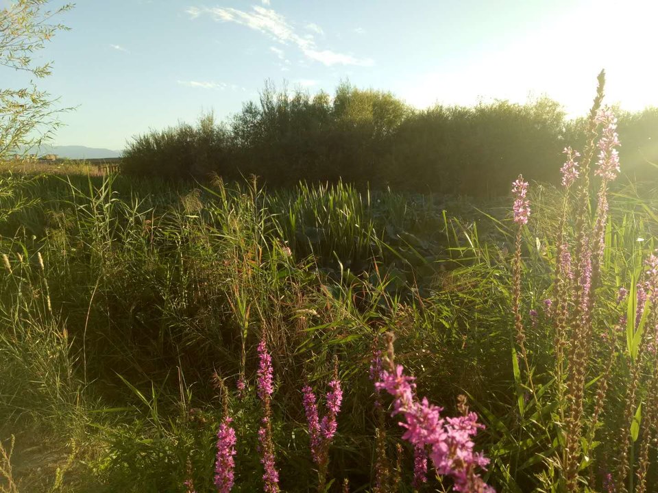 LS32M7LPibqtT-clpOQ09WV6v0Tryikdk6fysP-8tHvN2oHKZTXqOMb4G6qa-0my