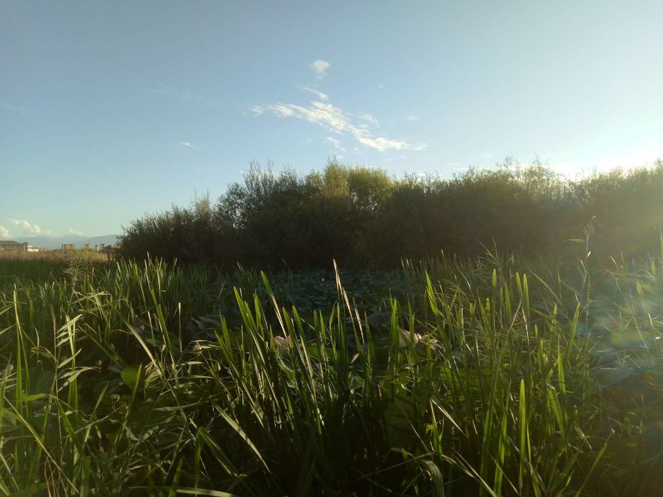 lcJvhw6cTO5fo-NcJTVrzEWpZR9lB66urMzQvWwwzk3OQWyJRVY2DTNH7kv_e3Wz