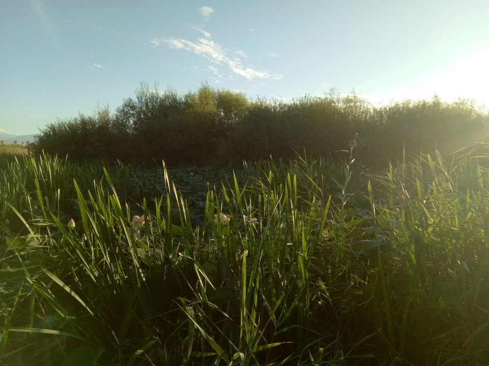 YgFhoWsZU_hlTj4mNF6dGk_PRyMnIqFusVX9d0nVyPboavuyh2tib8brgSOPoMNA