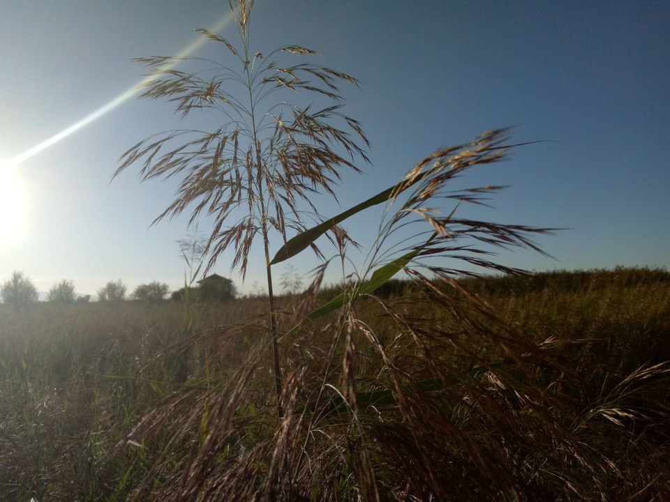 fIpRoqd96HBMHkBq5I7Qi_uMq2grYozIuoWTVrKX3W828_5YKlWhDwqvDIVA5Fwk