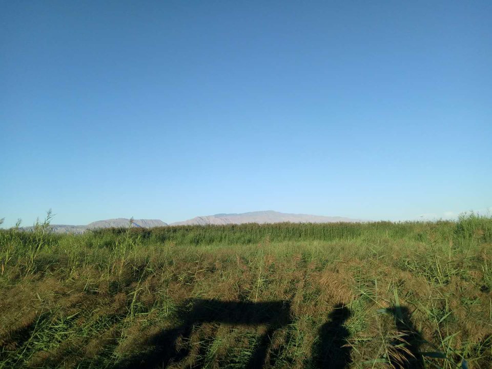 t0tHLZ6jvMk6IHJofcDTgLNhrz8eboT3yTIUfAbXAkGOQs1kFWhDYhd04gJt-2wL