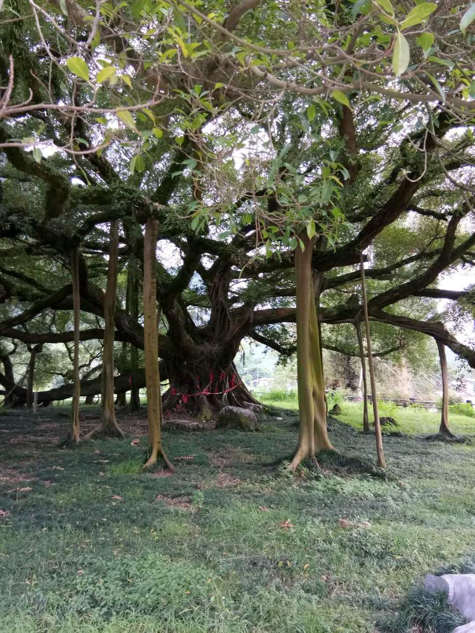 oOUe3VWms9KtMhGxMqGg68F_4zf18qwy9rS6voghlmEJVrJvRBEGDXn3H-IjckeK