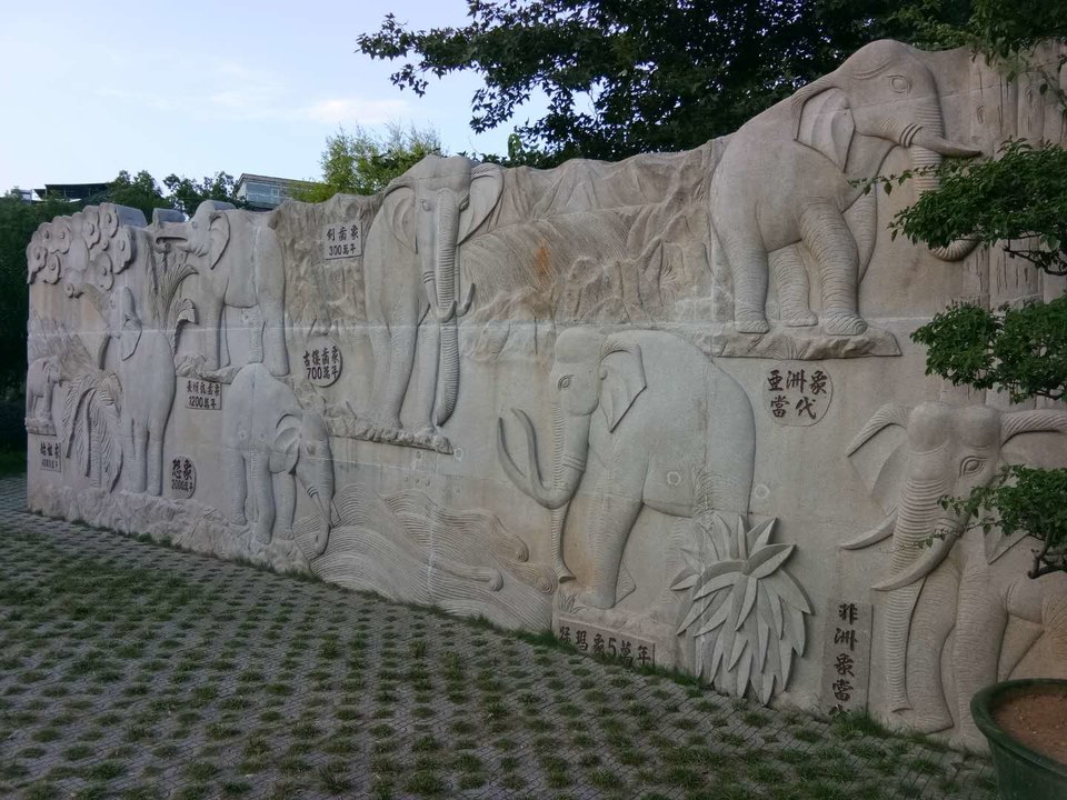 N-ckRF9lW5DJZHdrNjndTSbg8XO1s8qbuR_lBT-qXZiFydTbqkAZZzLkYiUOJIq_