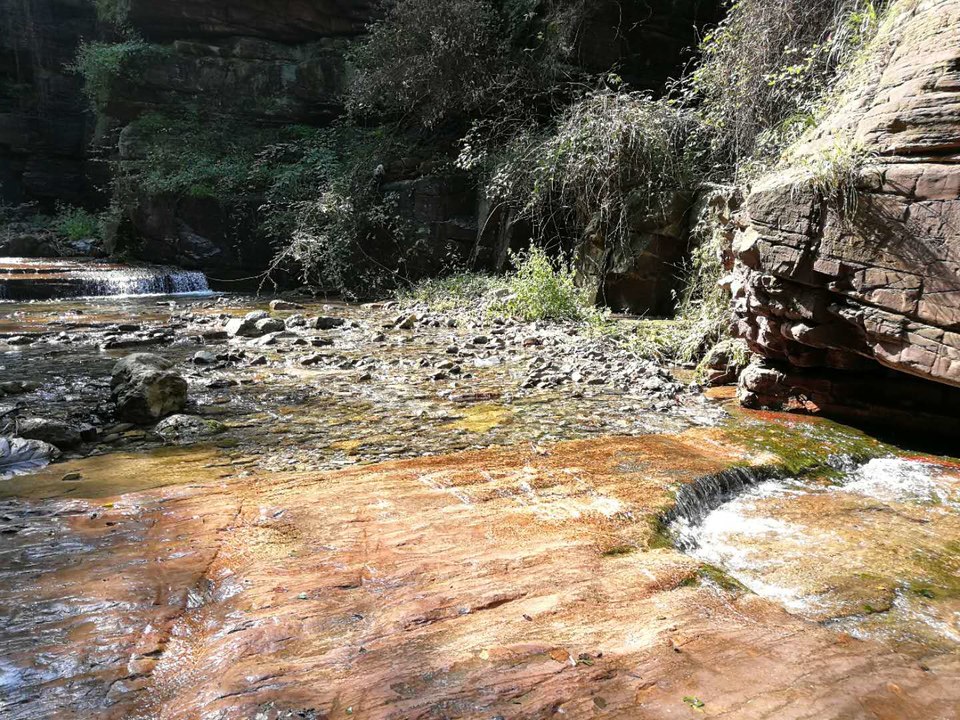 qg6dLSq6OpRk5umYfhWeACH6Rm_ZFXhmIfcgRIV7VTi_mc0wYTGZe8yln_s0pEQl