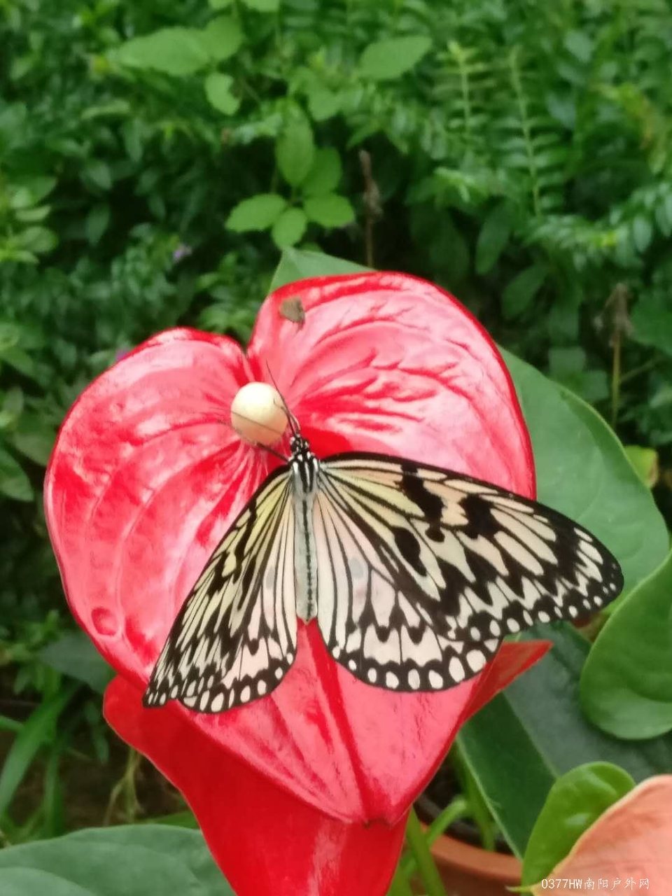 xAD9rCRDpvl3g8y8yoypgYfacPN21ATun9Sj3y8CjaDSy6H5kW_lI3570x1Dfrum