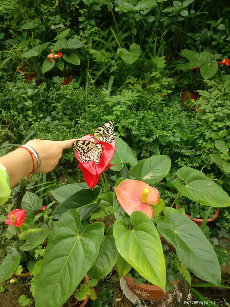 IokJ3M4IPFGv5uIUVnBCd_Ei8LW1LG1uyGXZbDnALT76ZSrx3S4P3x53s3X2hmFe