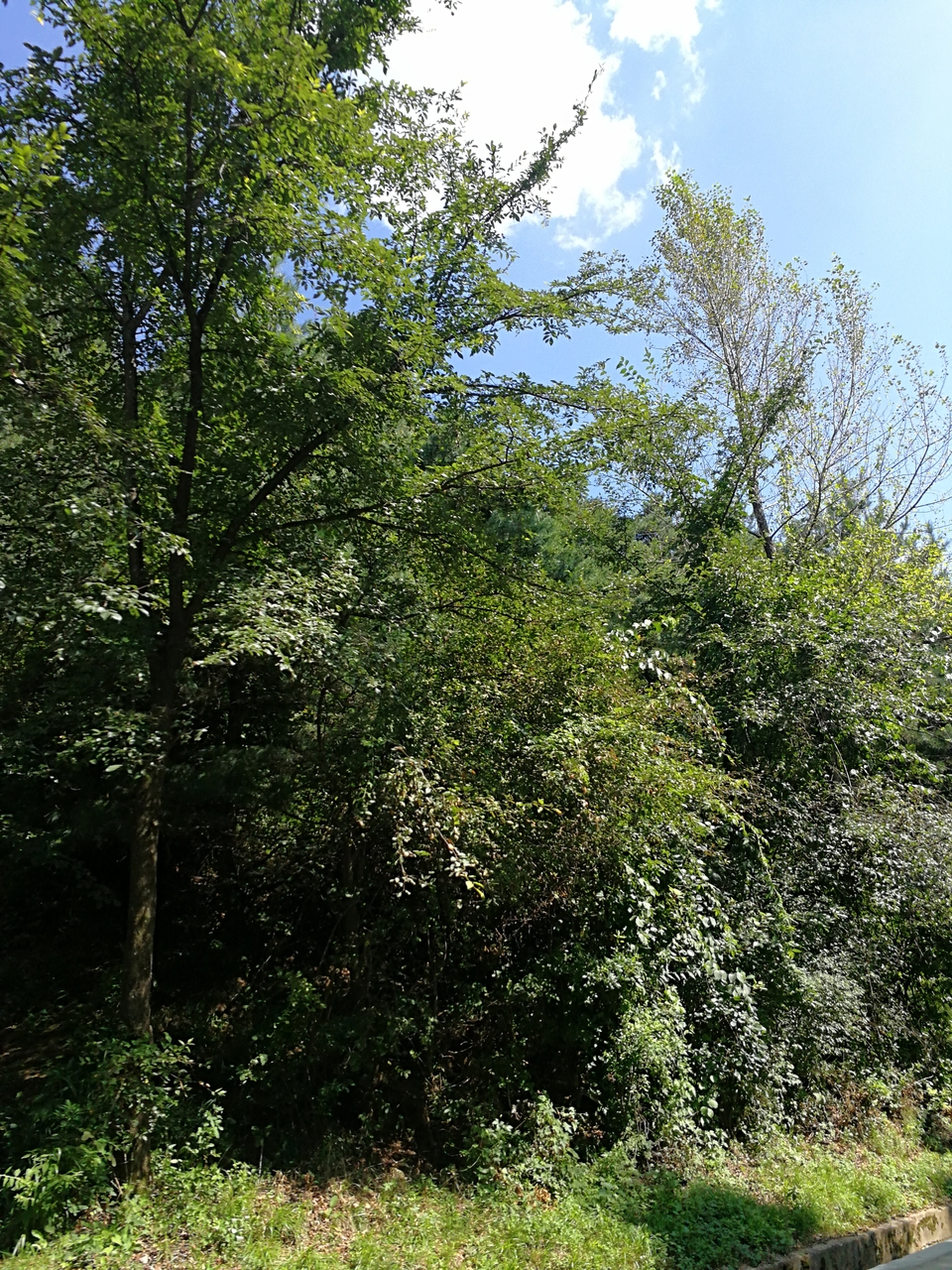 Lo4EcVvLCp0AUAowTepobrki1c8wac17z-PgfFVUi54dIEKBSMilozHPsE2UA-eS