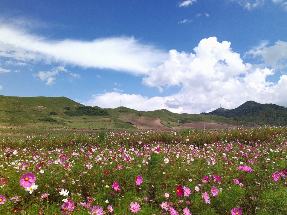 Rv0boinXUAl6km80hVTKt_jHA0REuK8U-Ag4MTq8zHoRcTP-EB5mjJRhRnEaJER6