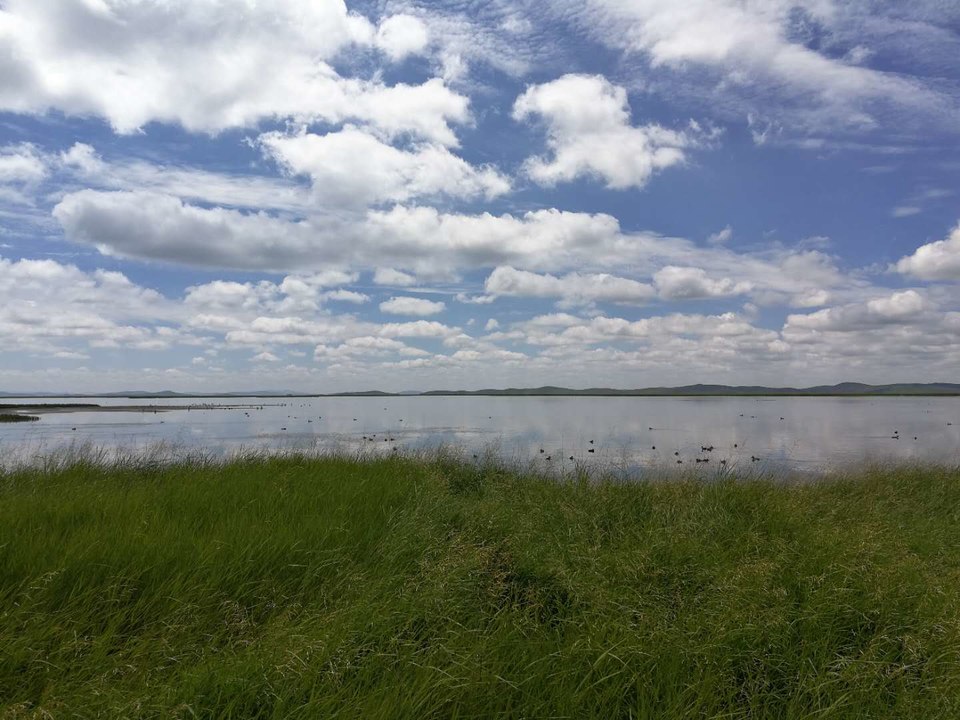 nCib9ZibCUxFS3dm0lXf4aKkoooZGFLhPsaAMEOx_Pa0mnS4DrP9sPx494VG30-a