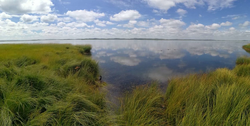 aH-cWj8NwQJCKTdJRR3GgHkFcI6I7nplP3UmObB7MViljXVBKv_EhzO72hmINcZ6