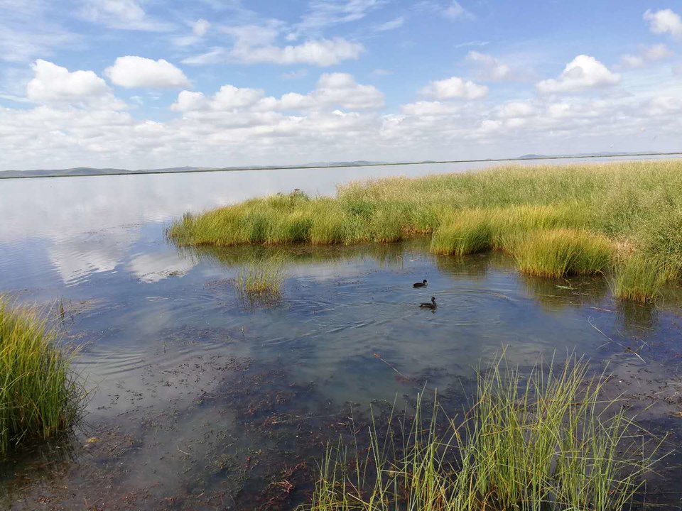 jwslAX5d6_UoIPEOI_h7Fgb-JZW5iebhYjgZgl4ghEOn5OCCTWz4K53BYAJWjoTN