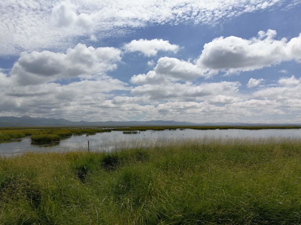 sGE8vstUYeXYFLn7O8jQXovR6E-36XUyuOqO-OmAHlW-pst60e8GFdx7T1ebv6A_