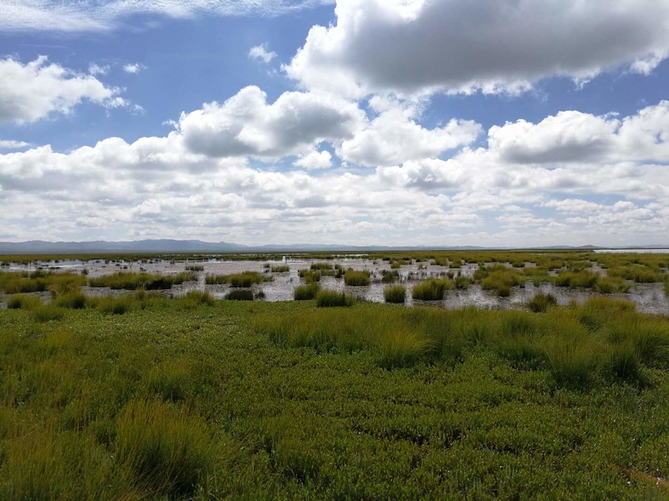 DOYnqyrhDWA6OhFv04yGib_5JeB_4fqI62B_tj_uo9gwBGX_0G11Llos8N4uMIoI