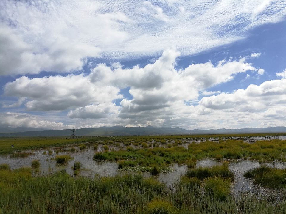 zW8buxEOo8U9aUGA6OMFnUb5-29rH0A2rxnYl637vKOjdLZN_htQifUMF9stX-VN