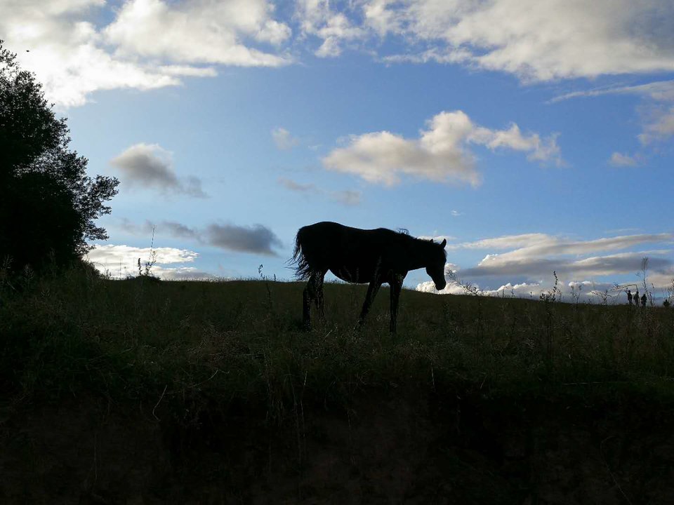 1U9cW4l0Zhv_N_lIW_oSjXUHPFRIruF8fKbqwVp7uPJN-HTj9X_pt3RFJixB--uS