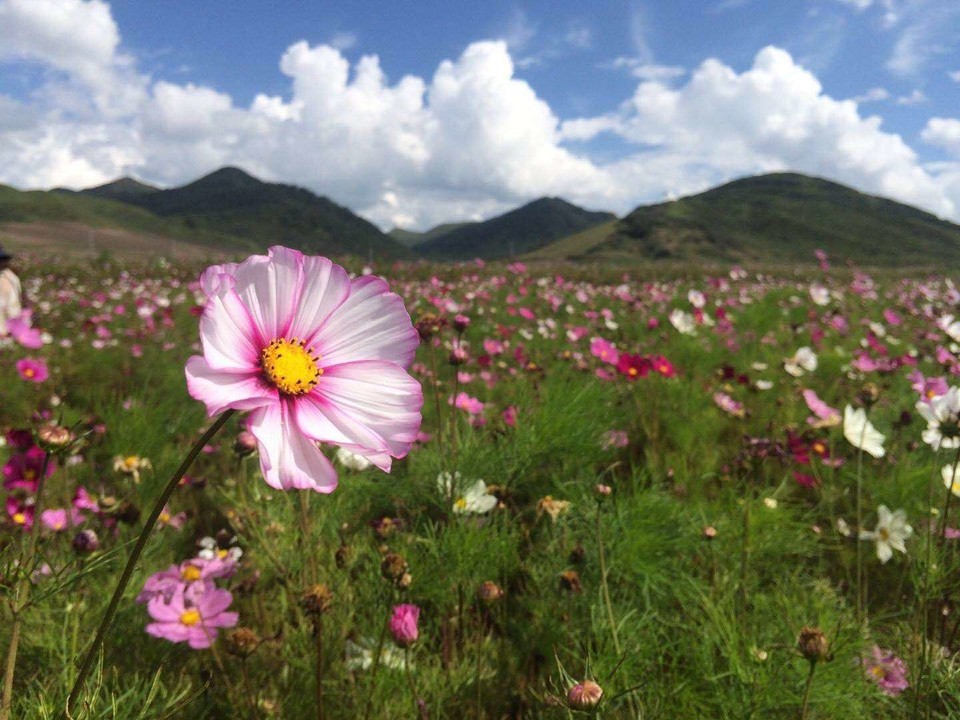 wj8b34WmxvTzx-lgo-2w5Ry35xEcJg76O7MDUKtaTZDMTx-dhmwlpazdZSnYDH1s