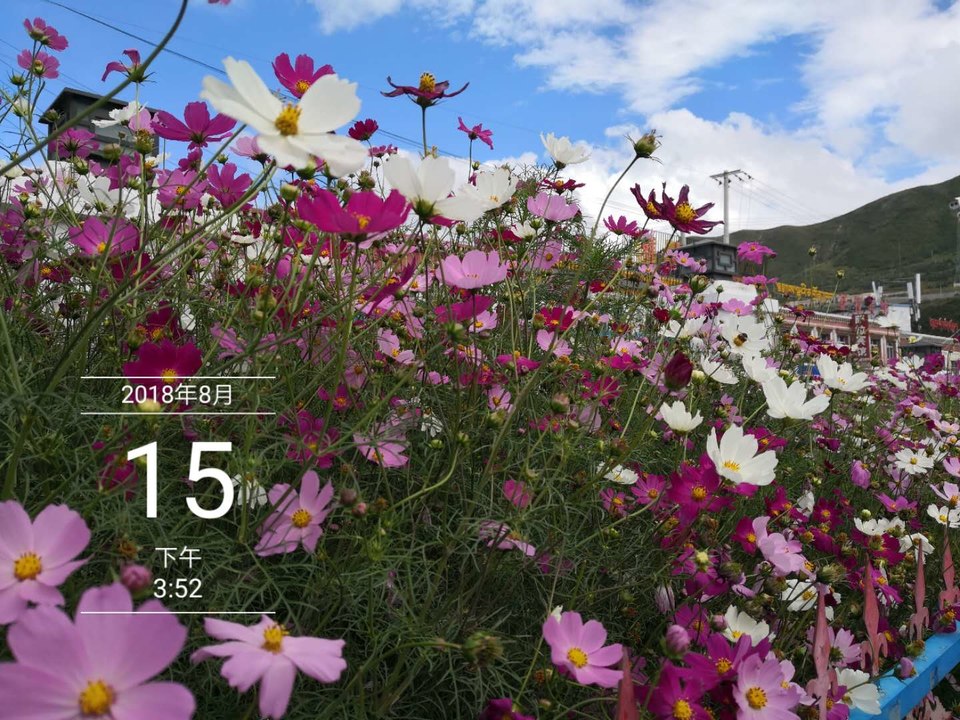 U0VJR4VVsanAWtWjLm_cze_PxAhlmJ0DFm0Iy3HWYXQx113smZtNiK77z_fIYCOB