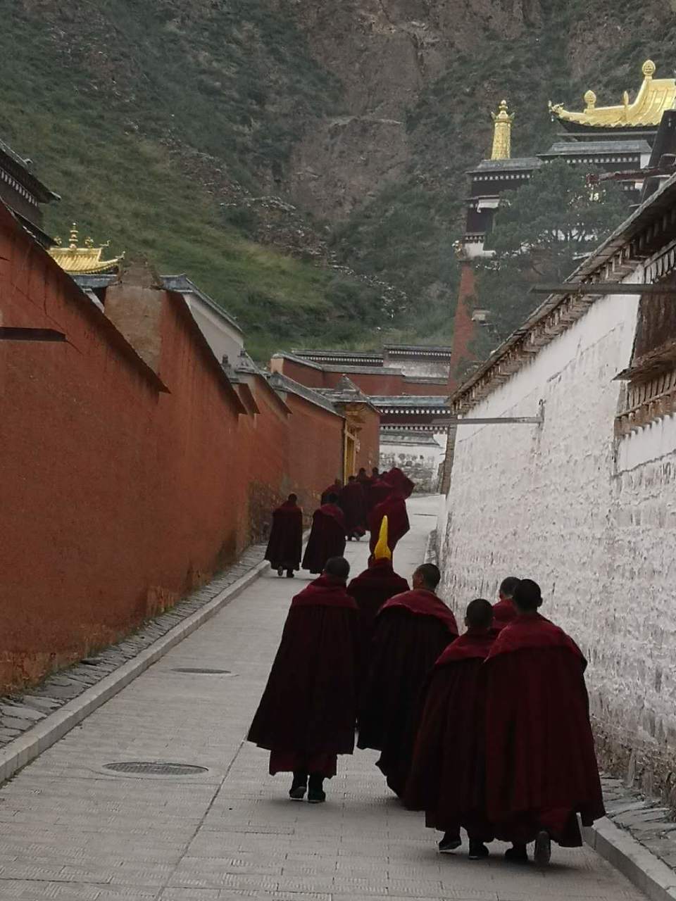 xzeRlR6HJsP7Yg3nx7e797ggw7Gu0L4uV0T10R2W9KPZqgIXYOvyD8T2yvsfYDBQ