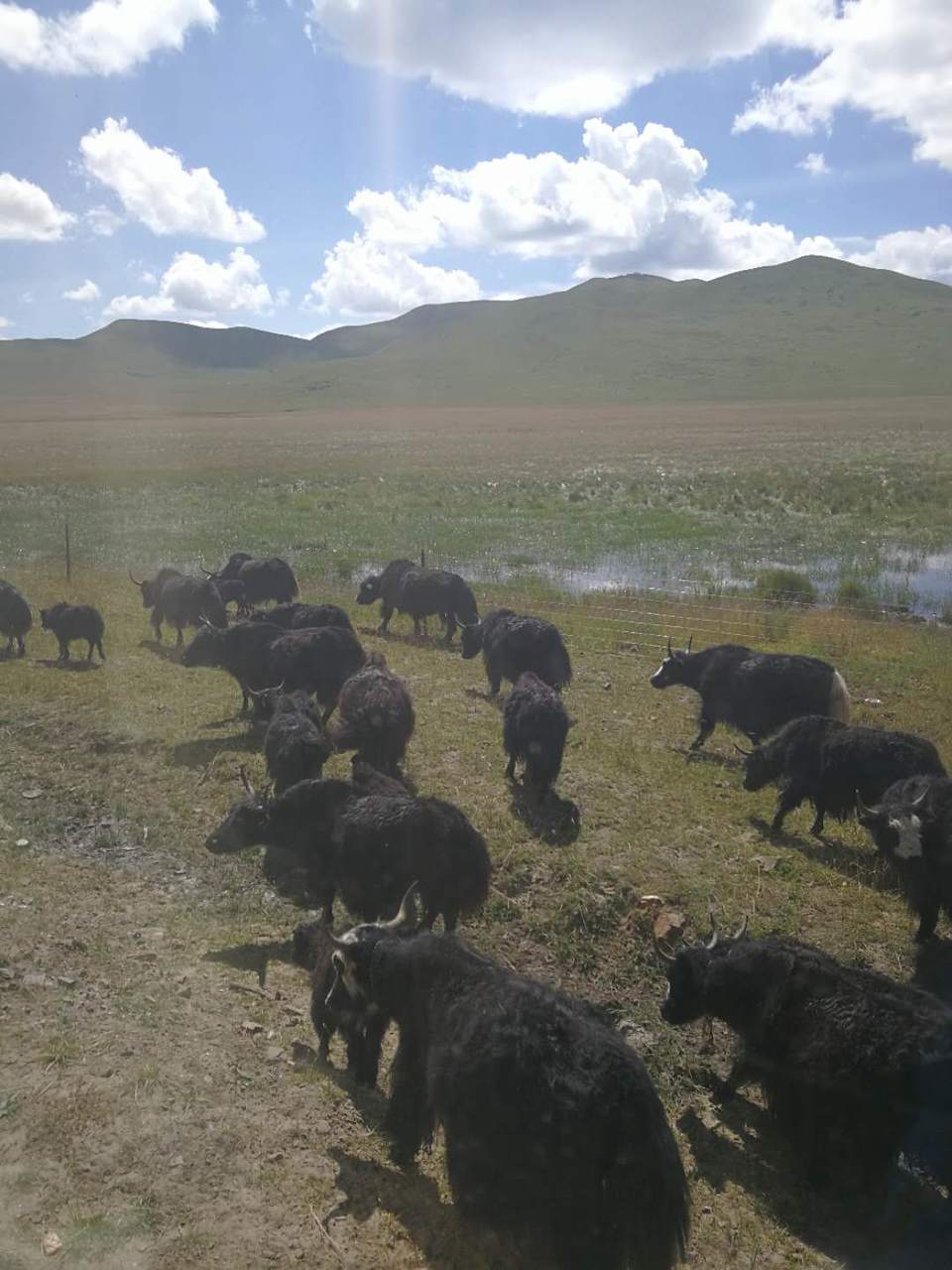 dMZHddxiDvQBCgcLt5KOPysmQXOShz567xLasH239NrQlKzWg2f90mlv6VMnh5Zo