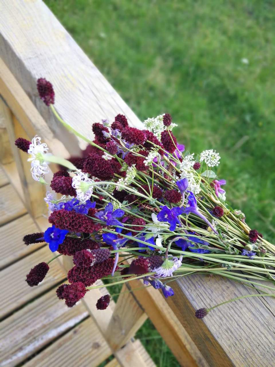 gidRk_52wNbRrPf5m7GOiJnlA_XjGmubbFARX4plSTRvYZI3c7eE3yHHKSvReAyW