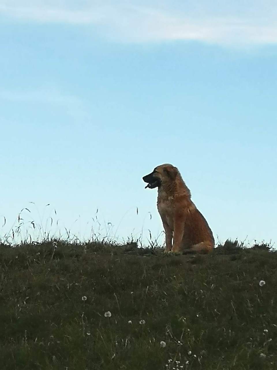 cK-zhUygfQGEruhn5X5xAcdewlIBgdEsgZA9Lm-QahY0enOsQYsG8Gi9r77ZKJUS