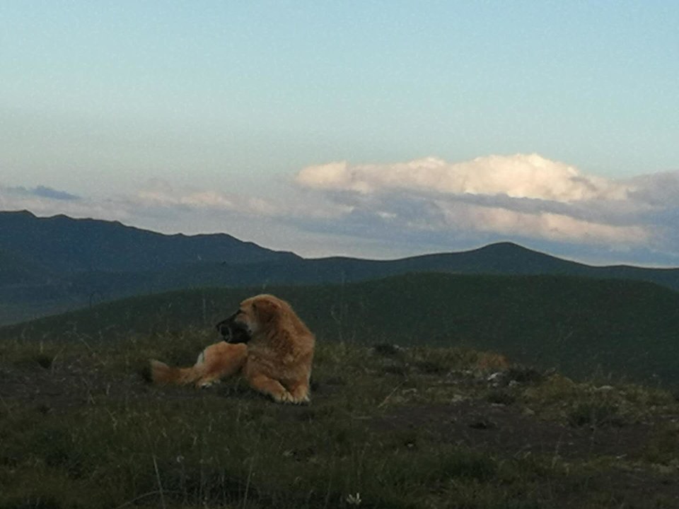 55zRjbi6TM5OLUV9mjsROFw1cbQfSD9GB-h-WaeKMzX-U5cenwFjwh-ZoO-Ut6SC