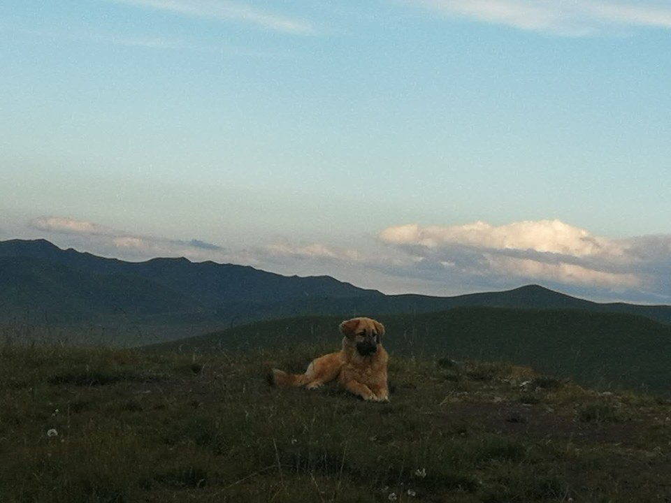 VCwEAYZxwexDs5TortbPxfpGDNGuCkBN6FVtb2kqaQHS2ca-1BdqccLaSypsJQGw