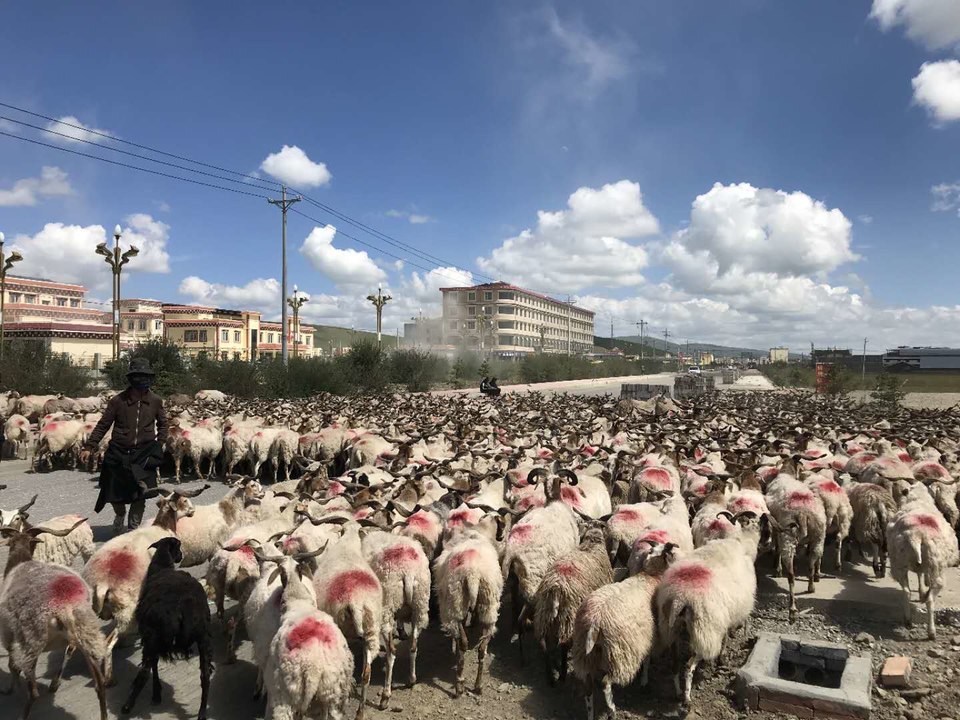 gAMcvmj0c35wMAEJtmFFh5xQT0ygKj9S7NEl7zSP8C7Hz4jAILbQmBoU00Jg4gge