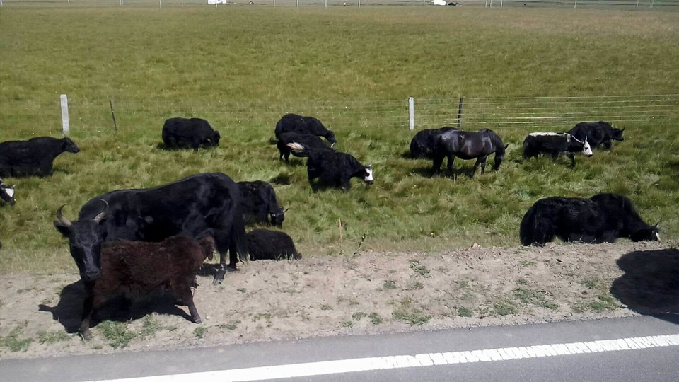 mK5G8ZqjHXLyyt7tdlXHAV9GJ_CVXfPig_kT9t12DhsWBwlss2SpSaR4S9SKIJiI