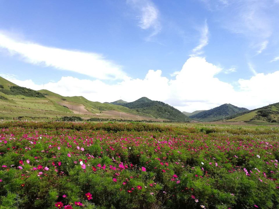 -yTvWsRjhFBiGbn8rUh8apE9VwstEc-WSr4yIB_ogSbPKdrLc3WM1mjJSSnm1GZT