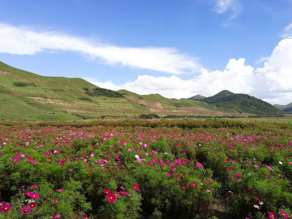 8K-j46925CGh7UvNYDSrHk4tuwgirMxMR3YhthKb7B2b1bFpiVlmwGLCbztwdGdS