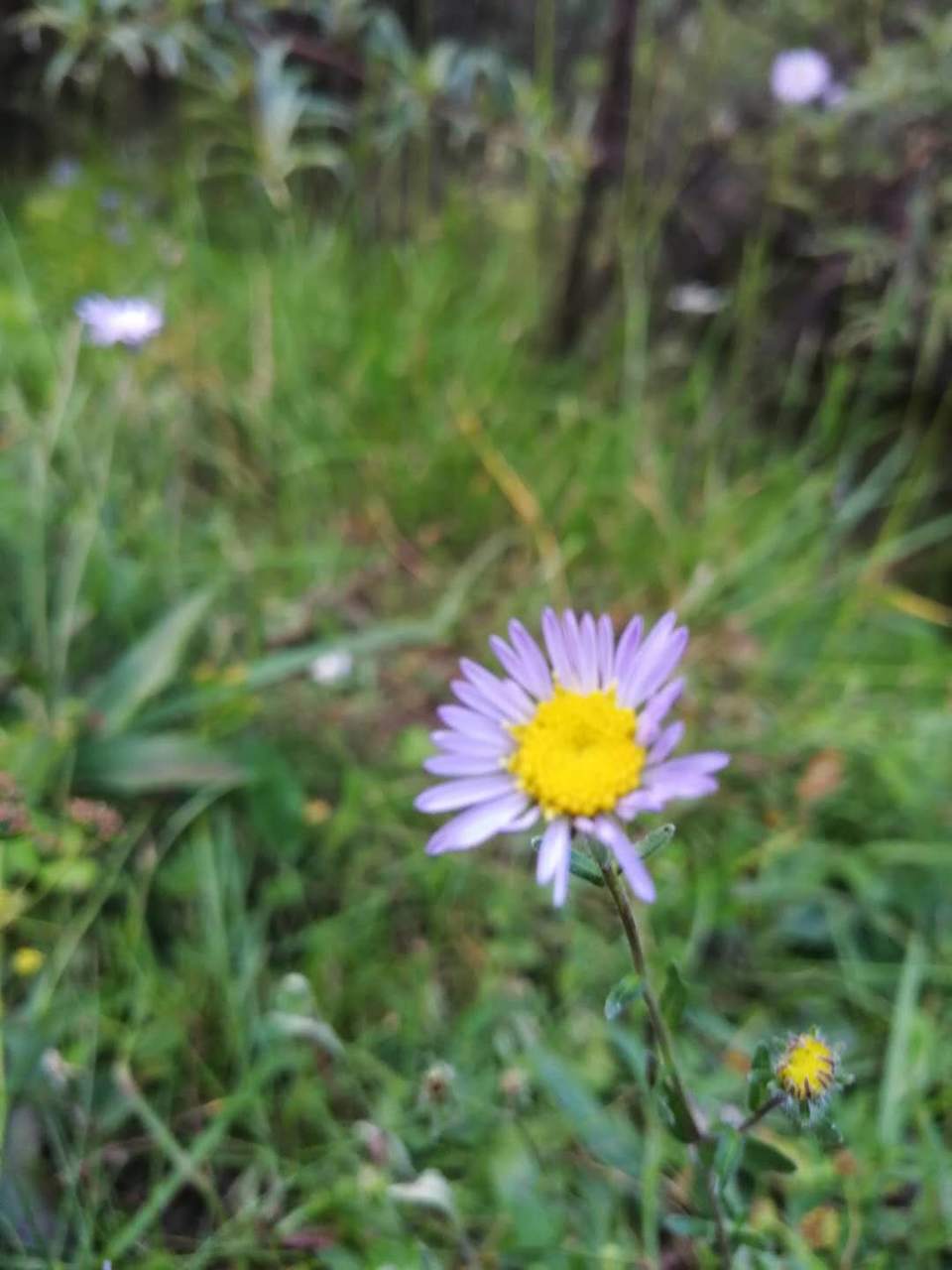 U3eRmlzdKHxqH48xo8iA4UNHWPCiHSBIhwe7C7FjFlsHPcCgGN3-0nwtTgJyLl7c