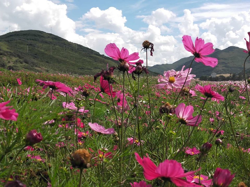 d-fa0vCfLCDjb_8US3IIYzftchXQ9IEyDkdqceqpHAz6fnpfKq3gmrj8sstNE_A5